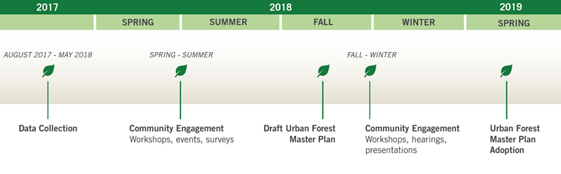 Urban Forest Master Plan Project Schedule