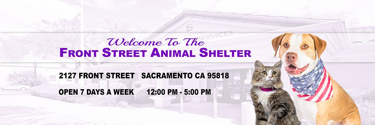 Website Banner Welcome To The Front Street Animal Shelter