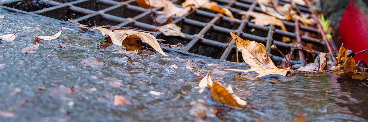 A few leaves surround a Sacramento city gutter as water slow pours in.