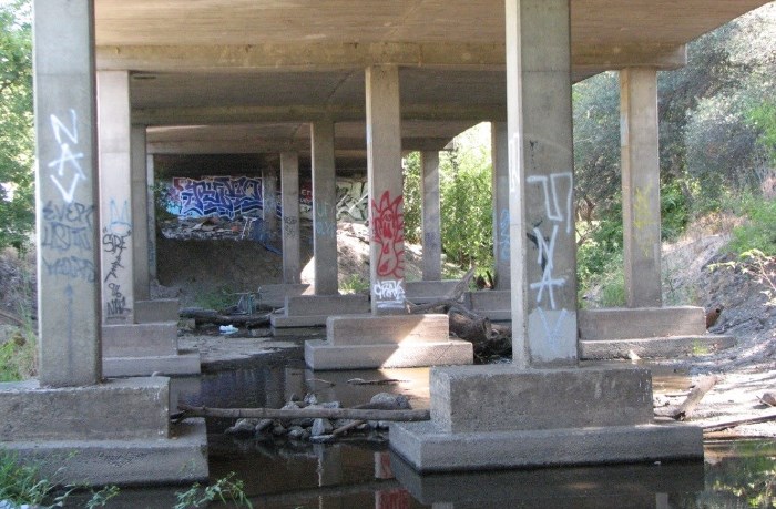 Underneath Roseville Road Bridge, graffiti on pillars