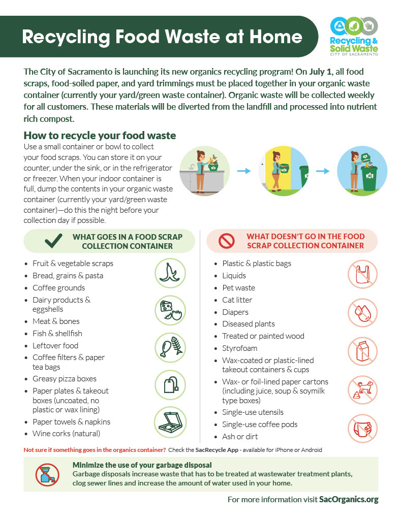 Food waste flyer