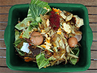 Green container with food scraps including egg shells, fruit and vegetable waste and other food waste