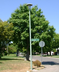 Post Top Street Light